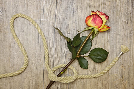 red and yellow rose on brown surface with brown lace thumbnail
