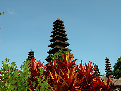 low angle photography of pagoda tower thumbnail