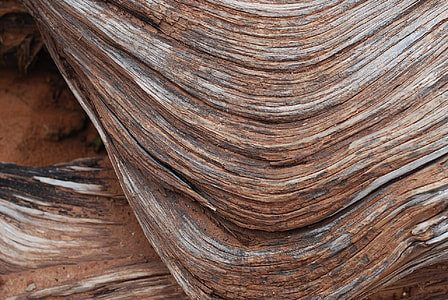 closeup photography of ancient wood grooves thumbnail