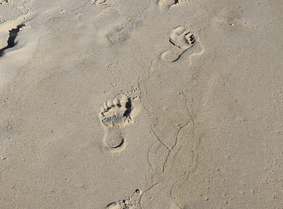 footprints on sand at daytime thumbnail
