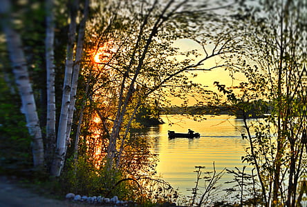 boat on body of water near trees during golden hour thumbnail