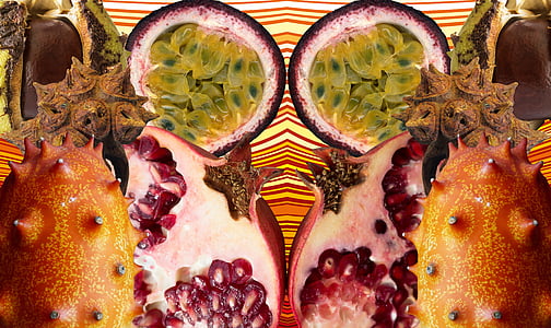 slice of pomegranate fruit thumbnail
