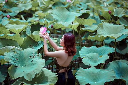 woman standing on lotus flower field thumbnail