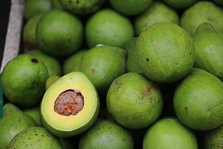 pile of green avocado fruits thumbnail