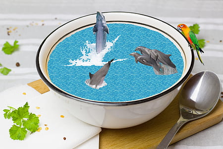 edited photo of bowl of soup with dolhpins thumbnail
