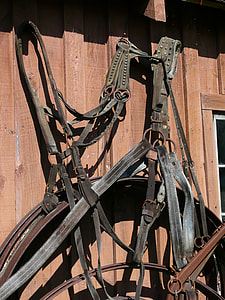 Harness, Steinbach thumbnail