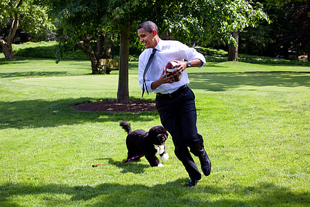 Barrack Obama photography thumbnail