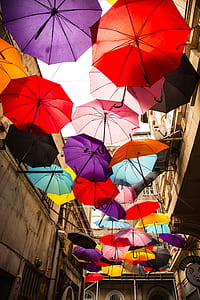 assorted-color umbrellas hanging on air thumbnail