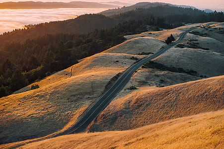 aerial photography of brown grass field thumbnail