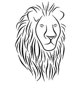 Lion drawing in black and white. thumbnail