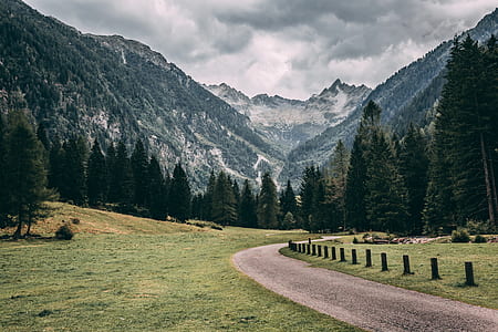landscape photography of green trees near mountain under cloudy sky thumbnail