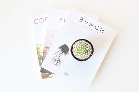 three white books on white surface thumbnail
