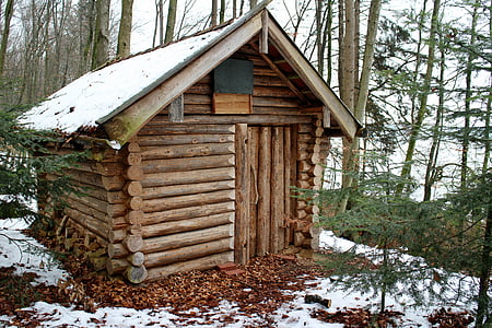 brown wooden cabin surrounded by trees at daytime thumbnail