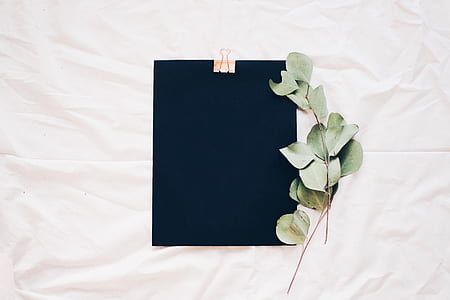 black clipboard on white surface thumbnail