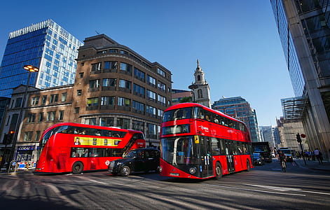 two red double-deck buses near building thumbnail