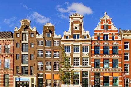 white and brown building thumbnail