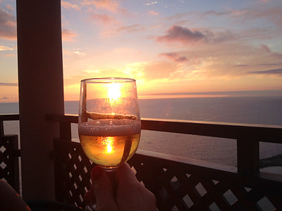 person holding wine glass thumbnail