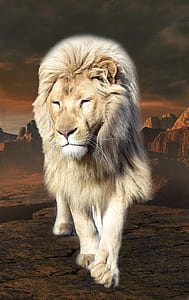 walking brown lion illustration thumbnail