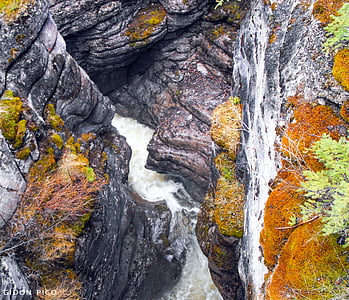 waterfalls surrounded trees thumbnail