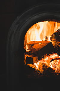 shallow focus photography of fire woods thumbnail