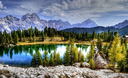 body of water surrounded by trees at daytime photography thumbnail
