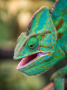 brown, purple, and green chameleon thumbnail