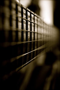 close-up photography of 6-string guitar thumbnail