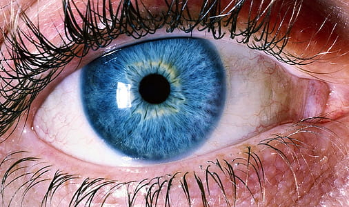 Blue Human Eye thumbnail