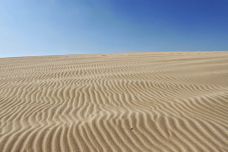 beige desert sand at daytime thumbnail
