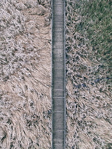gray wooden narrow bridge near trees thumbnail