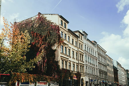 View Of Baroque building in Berlin, Germany thumbnail