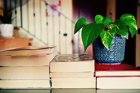 green leaf plant on books thumbnail