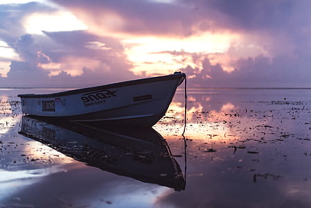 grey jon boat on body of water thumbnail