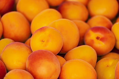 persimmon fruits thumbnail
