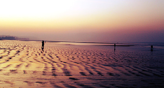 panoramic photography on seashore during golden hour thumbnail