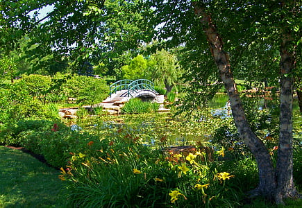 green and beige bridge near green leafed trees at daytime thumbnail