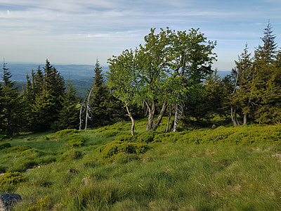 Mountains, Krkonoše Giant Mountains thumbnail