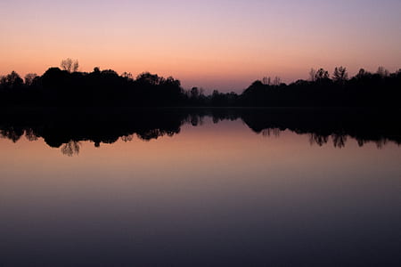 silhouette of trees near body of water thumbnail