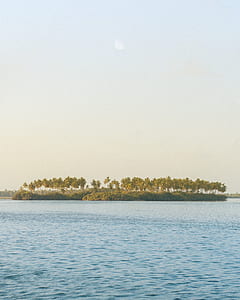 photography of island with palm trees thumbnail