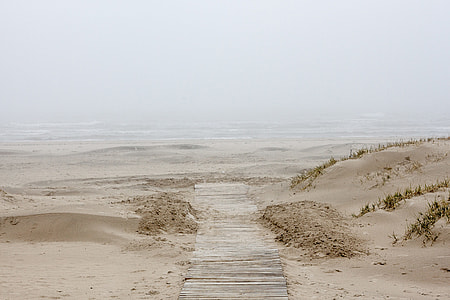 Sea mist thumbnail