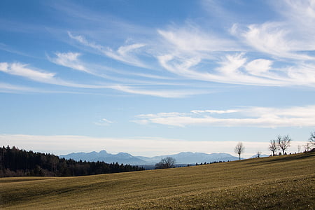 grassland during daytime thumbnail