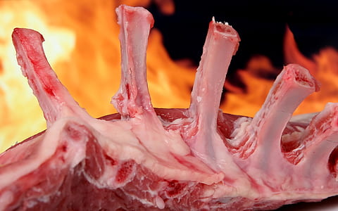 closeup photography of raw meat besides fire thumbnail