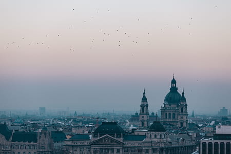 aerial photo of city during daytime thumbnail
