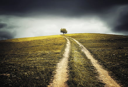road in between of grass under dark clouds thumbnail