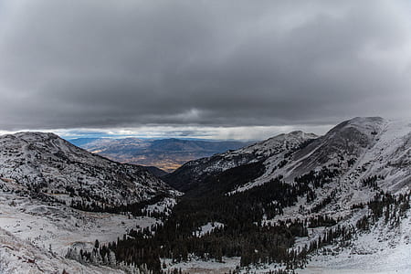 trees surrounded by mountains thumbnail
