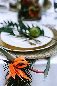Colorful Exotic Flowers and Greenery thumbnail