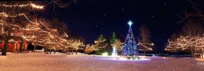 Christmas-themed park during night thumbnail