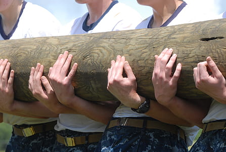 person carrying brown wooden post thumbnail