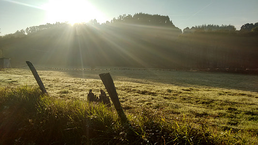 green grass thumbnail