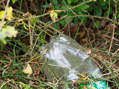 clear plastic bottle between green thorn plant during daytime thumbnail